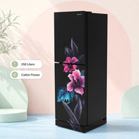Rangs Catkin Flower 258 Ltr Refrigerator