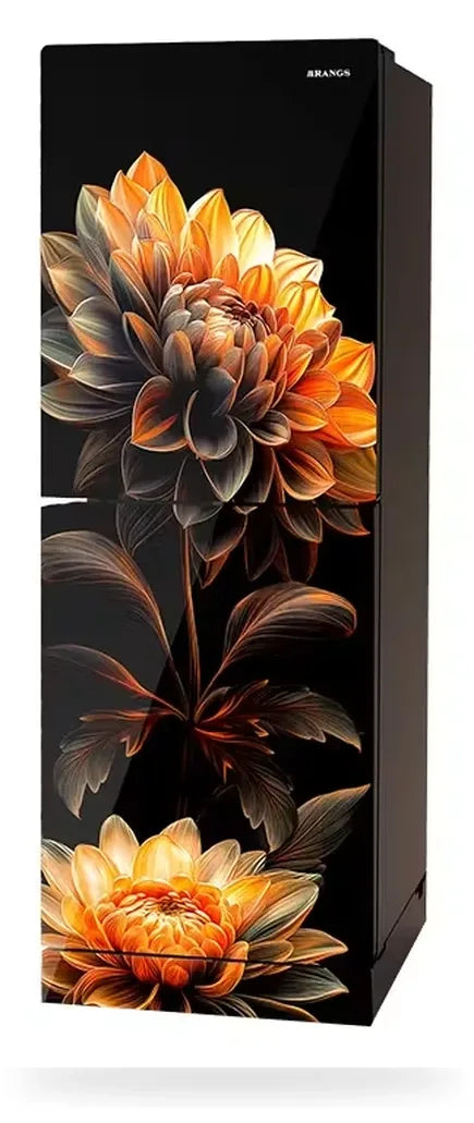 Rangs Sunflower 225 Liter Refrigerator
