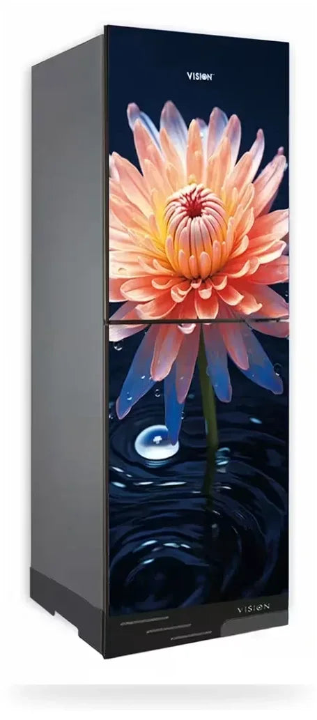 Vision 240 Liter  Glass Door Refrigerator Water DO Daisy Bottom Mount