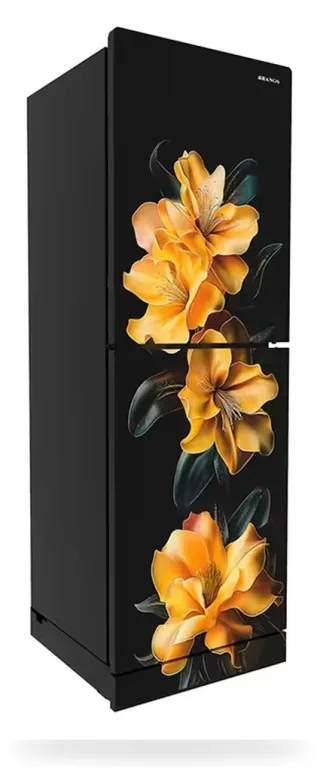 Rangs 261 Liter Refrigerator Goldflora — 2