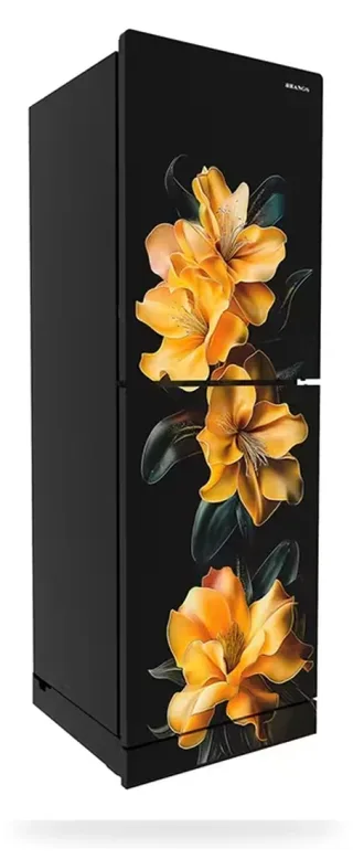 Rangs 261 Liter Refrigerator Goldflora — 3
