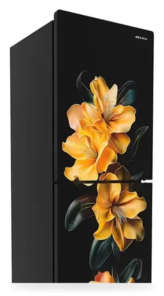 Rangs 261 Liter Refrigerator Goldflora — 4