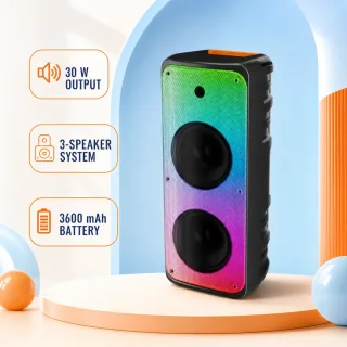 Vision 2:1 Speaker - Party Go — 1