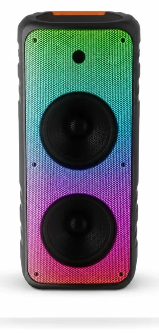 Vision 2:1 Speaker - Party Go — 3