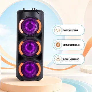 Vision 2:1 Party Speaker - VPS-65 — 1