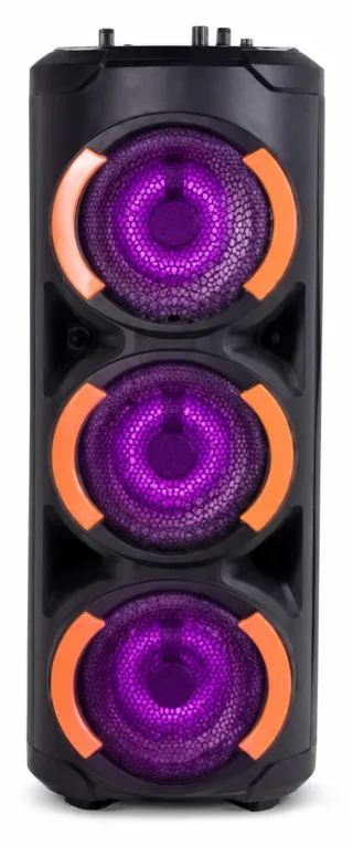 Vision 2:1 Party Speaker - VPS-65 — 2