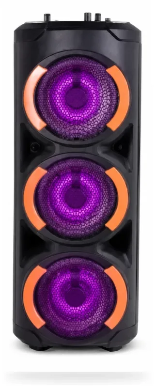 Vision 2:1 Party Speaker - VPS-65 — 3